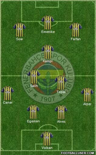 Fenerbahçe SK Formation 2014