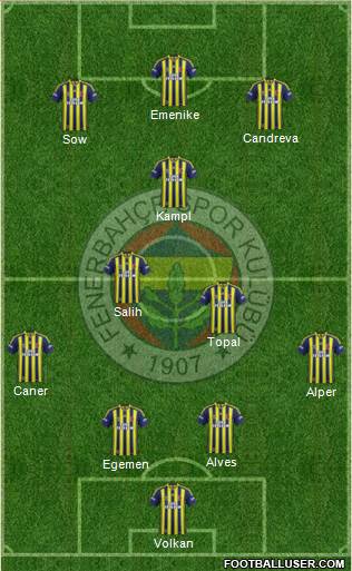 Fenerbahçe SK Formation 2014