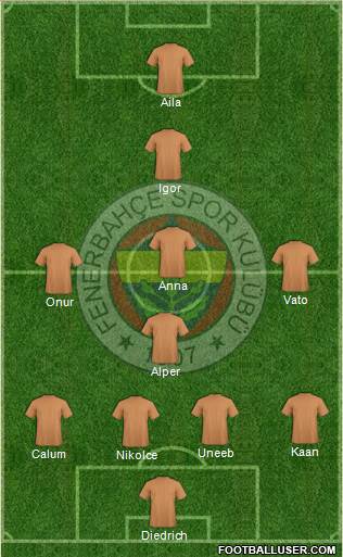 Fenerbahçe SK Formation 2014