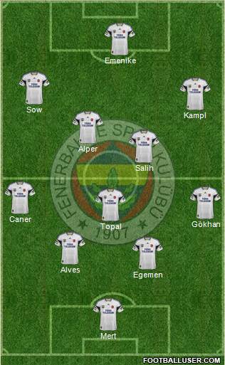 Fenerbahçe SK Formation 2014