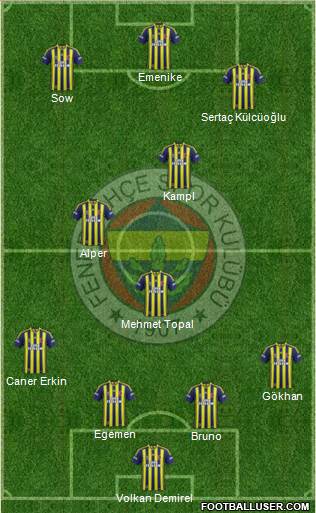 Fenerbahçe SK Formation 2014