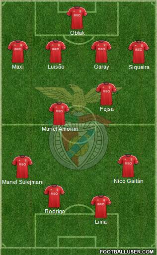 Sport Lisboa e Benfica - SAD Formation 2014