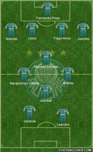 SE Palmeiras Formation 2014