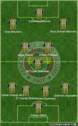 Fenerbahçe SK Formation 2014