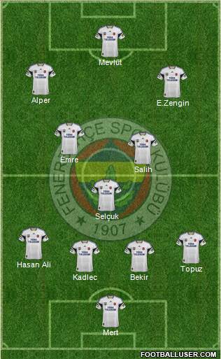 Fenerbahçe SK Formation 2014
