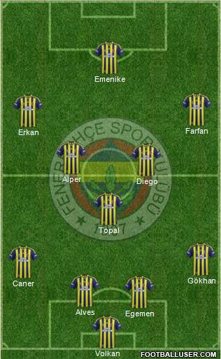 Fenerbahçe SK Formation 2014