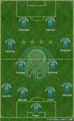 SE Palmeiras Formation 2014