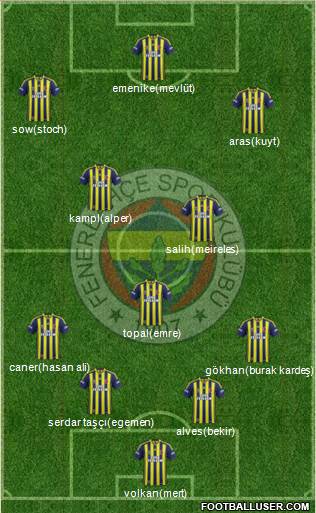 Fenerbahçe SK Formation 2014