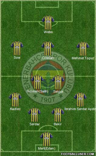 Fenerbahçe SK Formation 2014