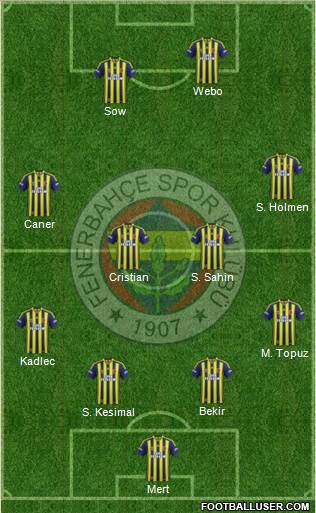 Fenerbahçe SK Formation 2014