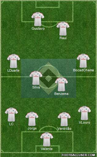 Hamburger SV Formation 2014