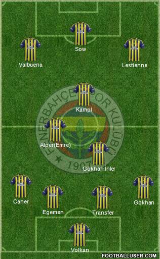 Fenerbahçe SK Formation 2014