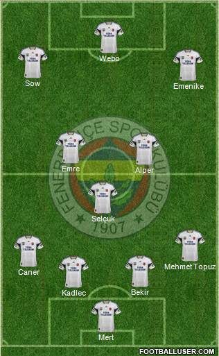 Fenerbahçe SK Formation 2014