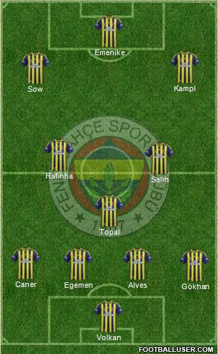 Fenerbahçe SK Formation 2014