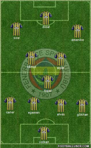Fenerbahçe SK Formation 2014