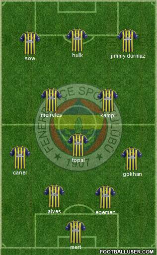 Fenerbahçe SK Formation 2014