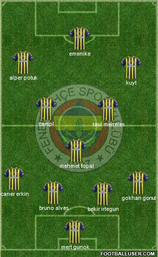 Fenerbahçe SK Formation 2014
