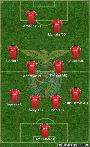 Sport Lisboa e Benfica - SAD Formation 2014