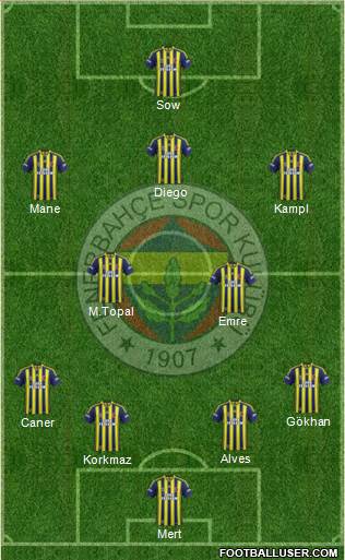 Fenerbahçe SK Formation 2014