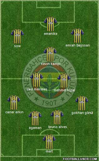 Fenerbahçe SK Formation 2014