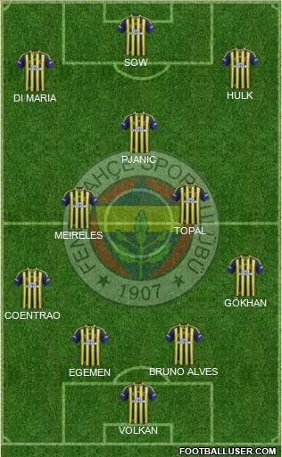 Fenerbahçe SK Formation 2014