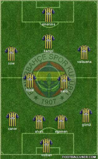 Fenerbahçe SK Formation 2014