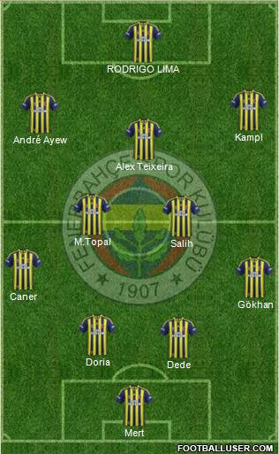 Fenerbahçe SK Formation 2014