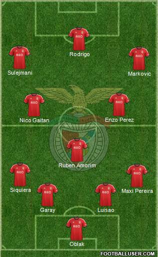 Sport Lisboa e Benfica - SAD Formation 2014