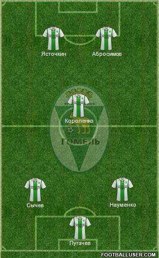 FC Gomel Formation 2014