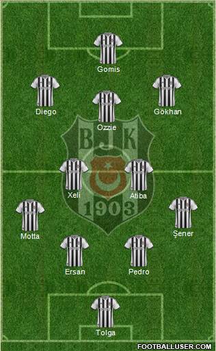 Besiktas JK Formation 2014
