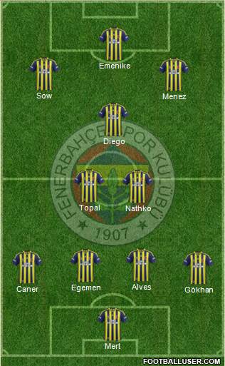 Fenerbahçe SK Formation 2014