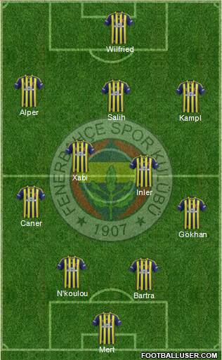 Fenerbahçe SK Formation 2014