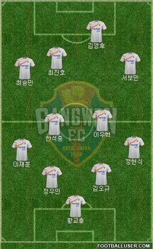Gangwon FC Formation 2014