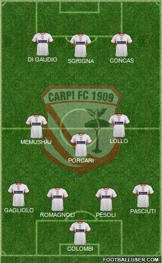Carpi Formation 2014