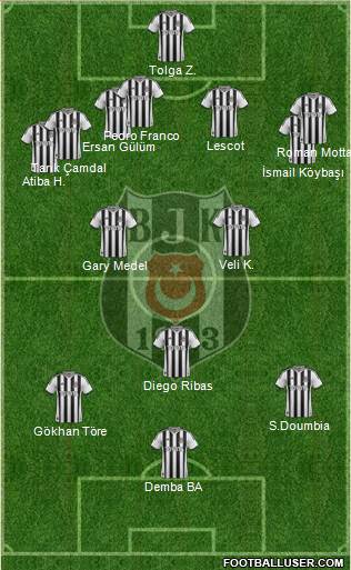 Besiktas JK Formation 2014