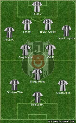 Besiktas JK Formation 2014