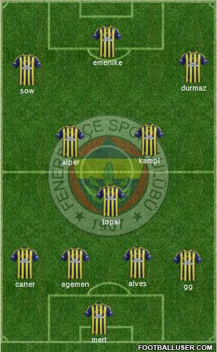 Fenerbahçe SK Formation 2014