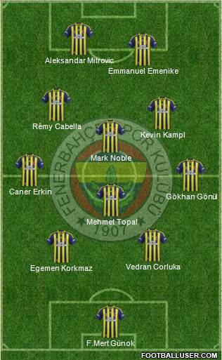 Fenerbahçe SK Formation 2014