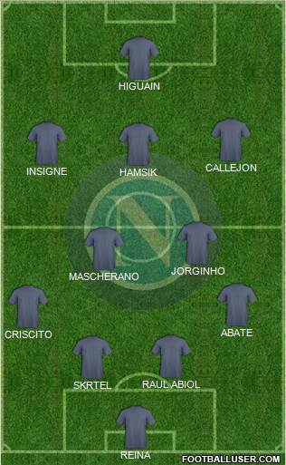Napoli Formation 2014