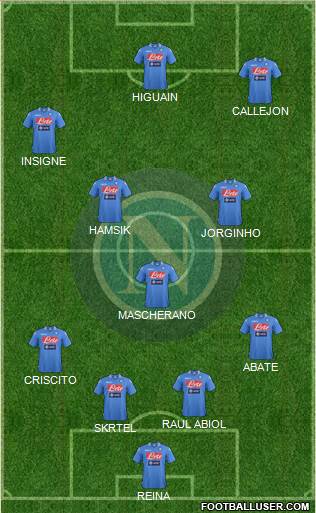 Napoli Formation 2014