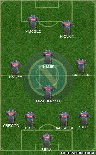 Napoli Formation 2014
