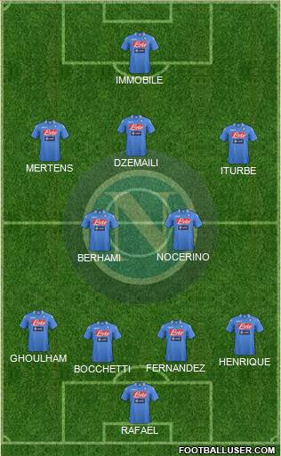 Napoli Formation 2014