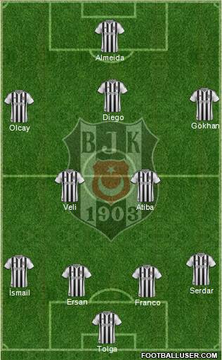 Besiktas JK Formation 2014