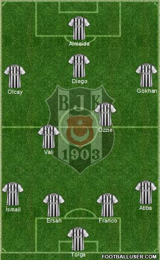 Besiktas JK Formation 2014