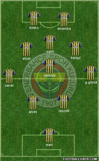 Fenerbahçe SK Formation 2014
