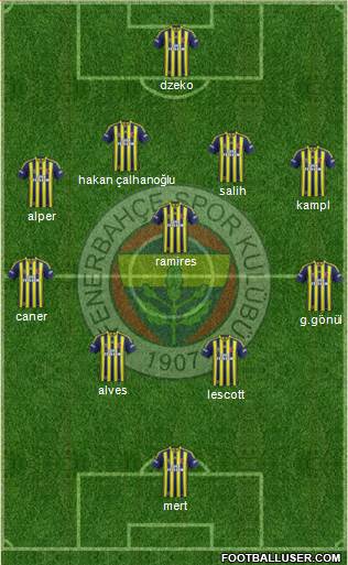 Fenerbahçe SK Formation 2014