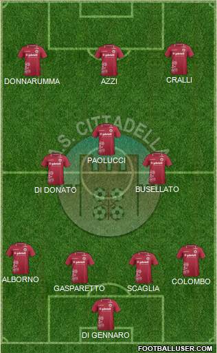 Cittadella Formation 2014