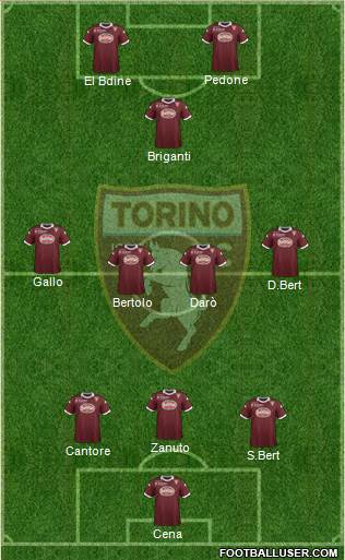 Torino Formation 2014