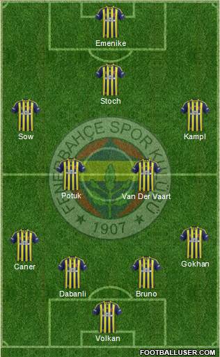 Fenerbahçe SK Formation 2014