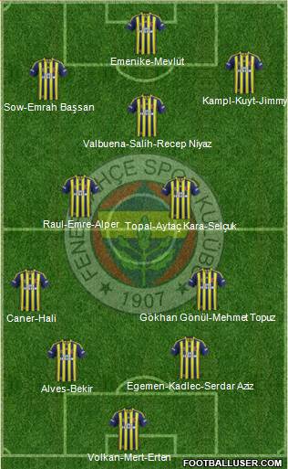 Fenerbahçe SK Formation 2014